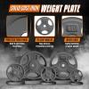 imageYes4All Standard 1Inch Grip Weight Plates Cast Iron with Multiple Sizes from 25 lb to 35 lb for Strength Training Weightlifting amp Muscle ToningE 2x10LB