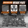 imageYes4All Standard 1Inch Grip Weight Plates Cast Iron with Multiple Sizes from 25 lb to 35 lb for Strength Training Weightlifting amp Muscle ToningG 25LB