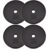 imageYes4All Standard Weight Plates 1Inch Cast Iron Barbell Weights Wide Range 550 LB Ideal for Strength Training amp Workout Routine Available in Single Pair amp Set of 41Inch Center