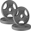 imageYes4All Standard 1Inch Grip Weight Plates Cast Iron with Multiple Sizes from 25 lb to 35 lb for Strength Training Weightlifting amp Muscle ToningC 4x25LB