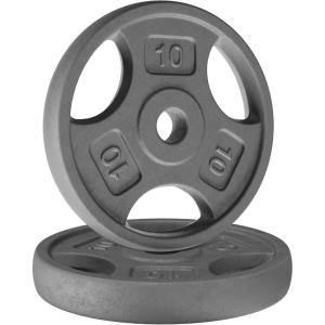 imageYes4All Standard 1Inch Grip Weight Plates Cast Iron with Multiple Sizes from 25 lb to 35 lb for Strength Training Weightlifting amp Muscle ToningE 2x10LB