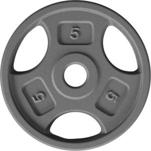 imageYes4All Standard 1Inch Grip Weight Plates Cast Iron with Multiple Sizes from 25 lb to 35 lb for Strength Training Weightlifting amp Muscle ToningI 5LB