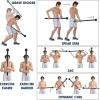 imageYes4All Olympic EZ Curl Barbell 47 Curl Bar 2 Diameter With Spring Collars For Weight TrainingZ 200lbs