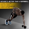 image:imageDumbbell  Rubber Hex  5lbs